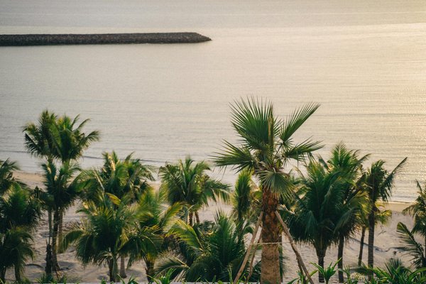 Vivre une expérience de rêve en croisière, à bord d'un navire de prestige