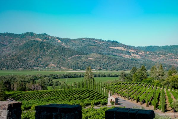 Comment visiter les vignobles de Napa Valley sans dépenser une fortune?