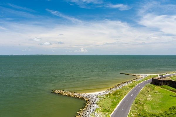 Où trouver les meilleures excursions en bateau pour observer les dauphins en Nouvelle-Zélande?